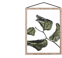 Home niche-market
